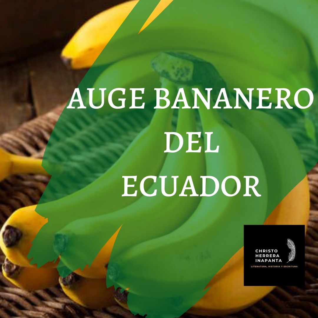 El auge bananero en Ecuador: Causas y consecuencias