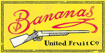 Varias transnacionales como The United Fruit ayudaron al desarrollo del boom bananero en Ecuador.